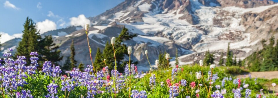 Mount Rainier Nationalpark