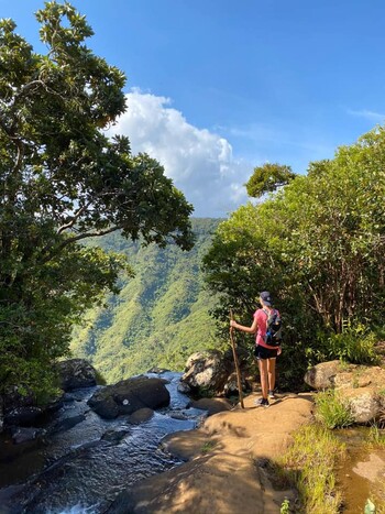 Black River Gorges Nationalpark, Mauritius