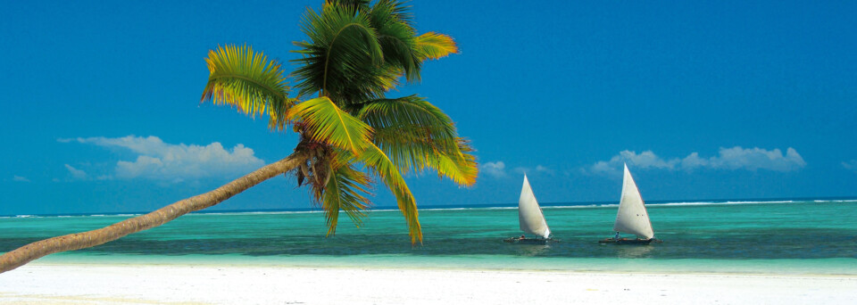 Sansibar Strand mit Palmen und Booten