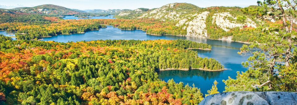 Algonquin Nationalpark Ontario