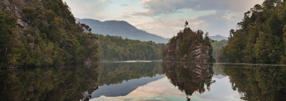 Blick auf Butler Island vom Gordon River