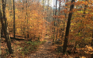 Indian Summer in Kanada - Kanada Reisebericht