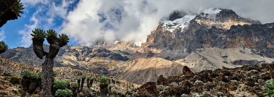 Landschaftsbild Kilimanjaro