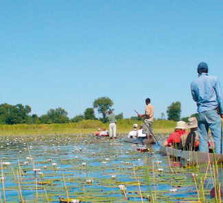 Okavango Delta Botswana Okavango Delta Botswana