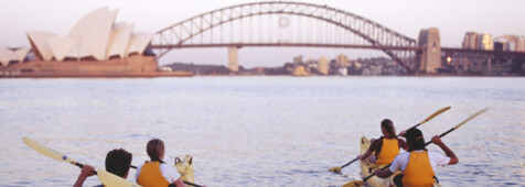 Sydney Harbour mit dem Kajak erkunden