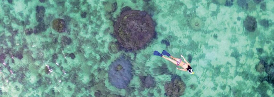 Schnorchlerin bei Koh Talu 