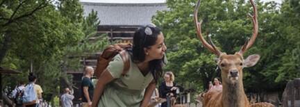 Japan Family Journey: Von der Antike bis zur Neuzeit