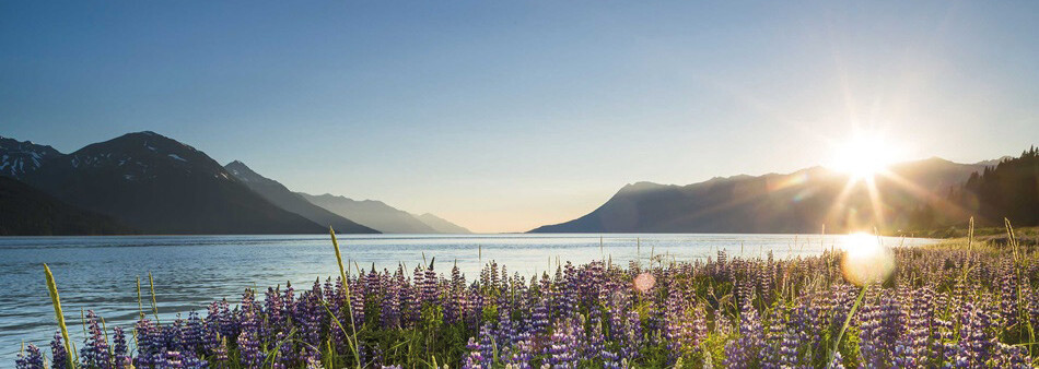 Landschaft in Alaska