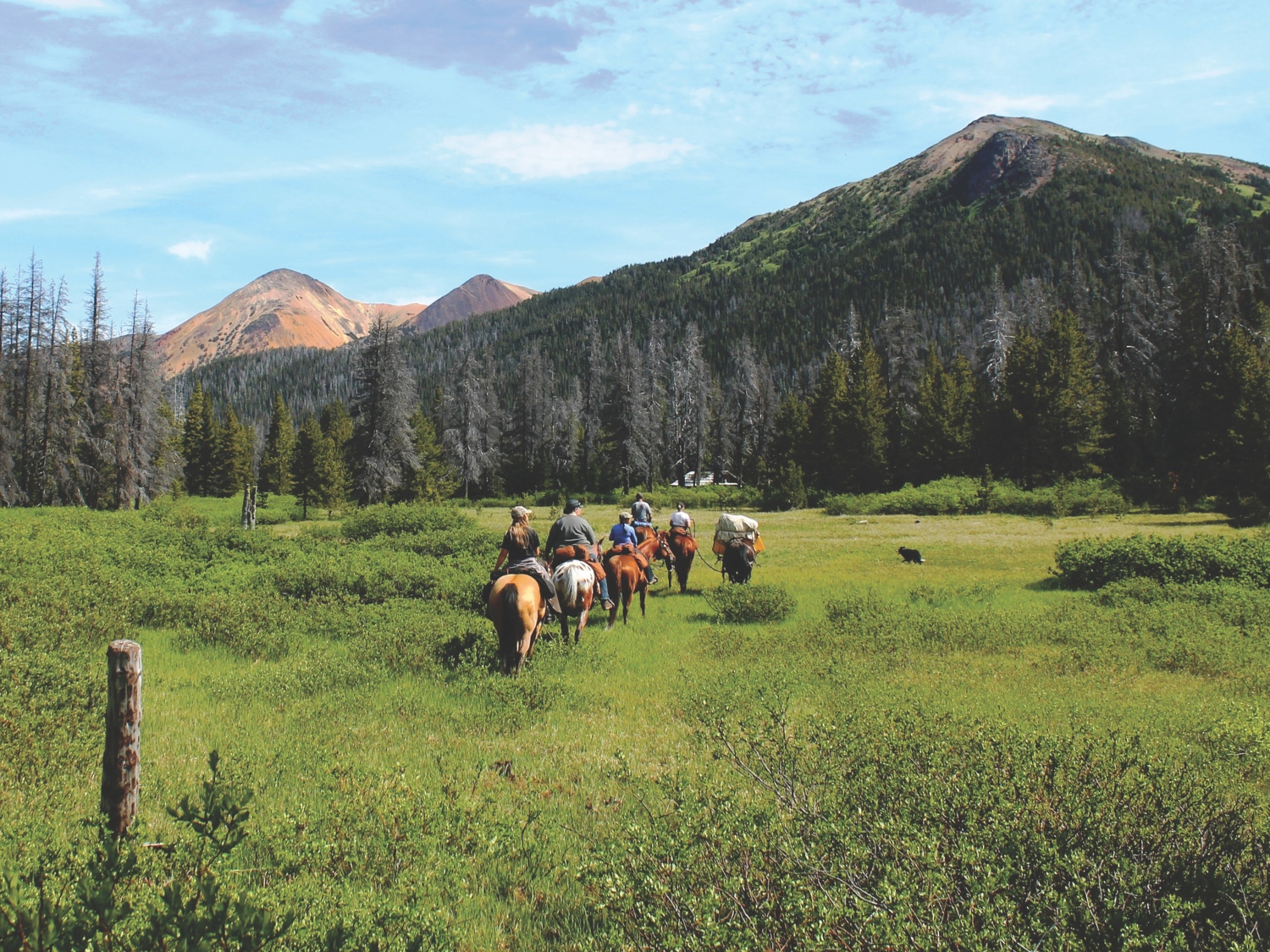 Wilde Weite an der Cariboo Chilcotin Coast