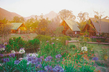 Südafrika Reisebericht: Tsitsikamma Lodge & Spa