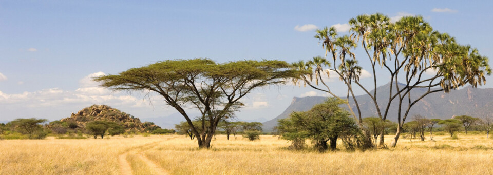 Landschaft Masai Mara Kenia
