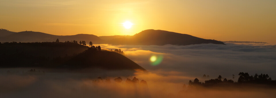 Sonnenaufgang im Bwindi Impenetrable Forest, Uganda