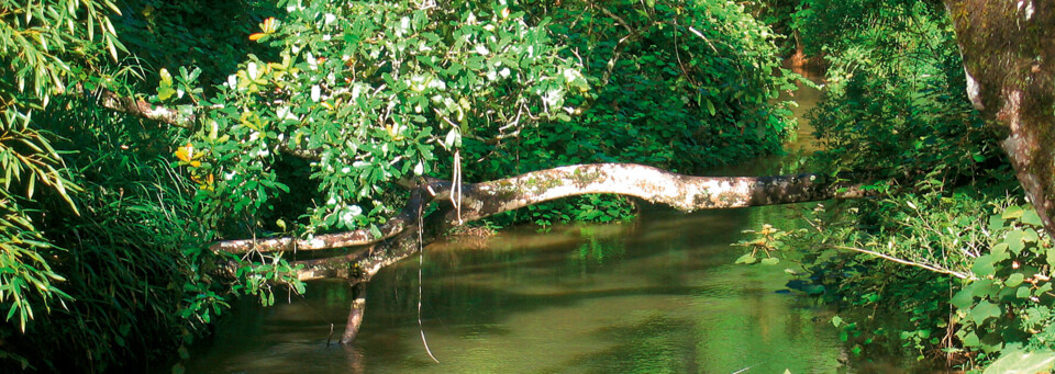 Andasibe Nationalpark