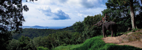 Natur pur im Khao Yai Nationalpark