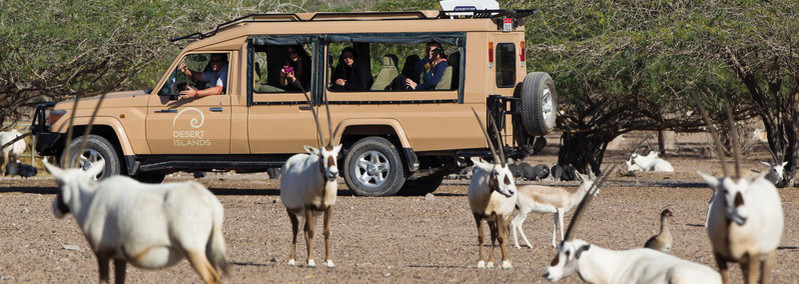 Jeeptour Anantara Desert Islands Resort & Spa