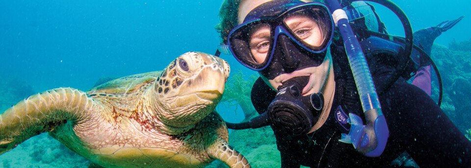 Tauchgang im Great Barrier Reef