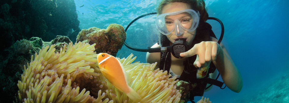 Tauchgang im Great Barrier Reef