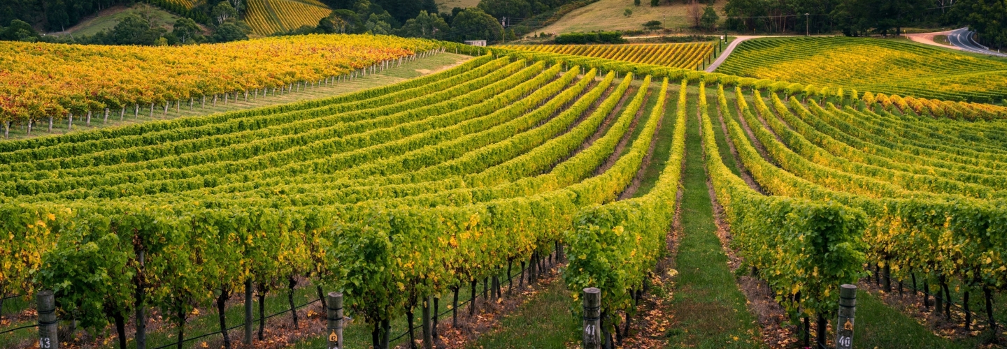 Barossa Valley Sonnenuntergang