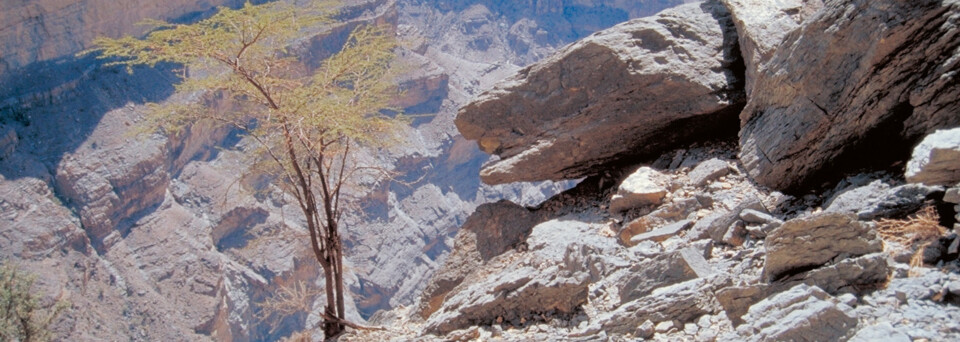 Jebel Shams Bergschlucht in Oman