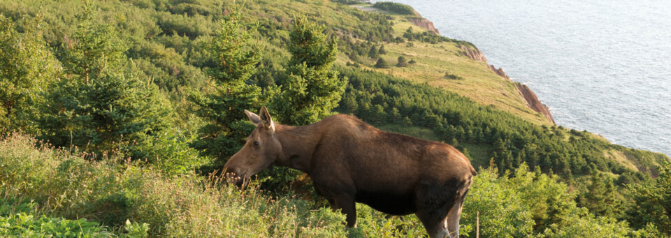 Nova Scotia