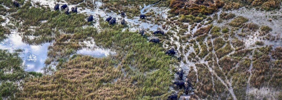 Okavangodelta in Botswana