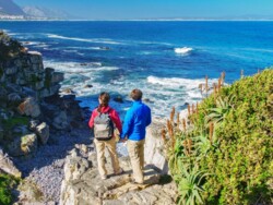 Hermanus, Western Cape, Südafrika