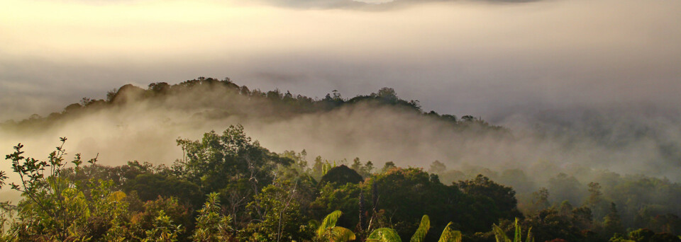 Landschaft im malaiischen Bundesstaat Sarawak auf der Insel Borneo