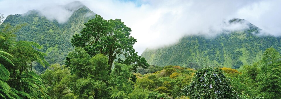 Martinique Inselinneres