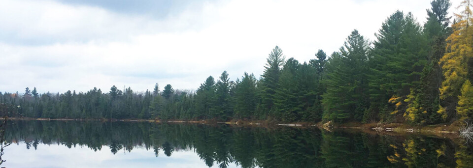 Algonquin Provincial Park - Kanada Reisebericht