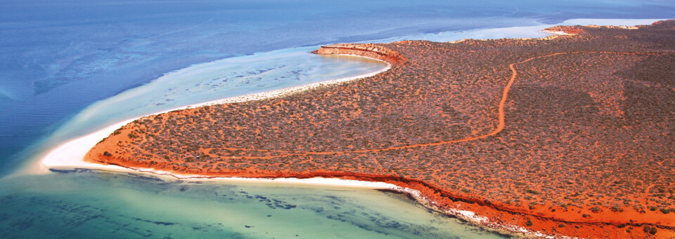 Shark Bay