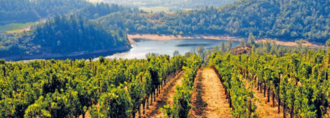 Napa Valley und Sonoma County Weintour