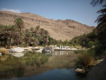 Wadi Bani Oman.jpg Oase im Oman