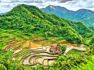 Reisterrassen in Banaue