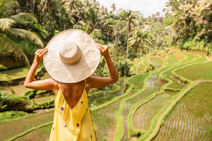 Bali-Reise - Anblick sattgrüner Reisterrassen