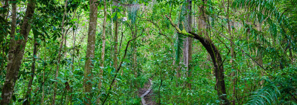 Manuel Antonio Nationalpark Costa Rica