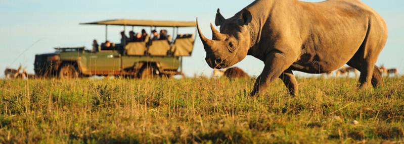  Shamwari Game Reserve in Südafrika