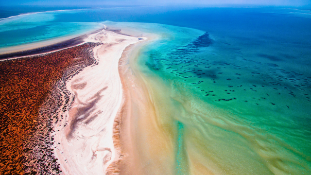 Shark Bay Bucht