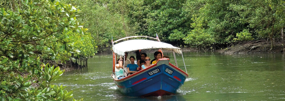 Bootsfahrt durch Mangrovenwald, Langkawii