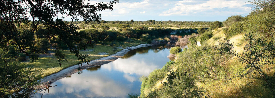 Meno A Kwena Boteti River