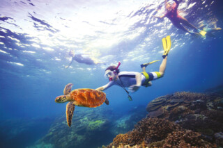 Taucher am Great Barrier Reef