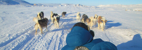 Arktisches Abenteuer Nunavut