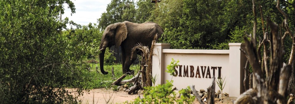 Simbavati Safari Lodges