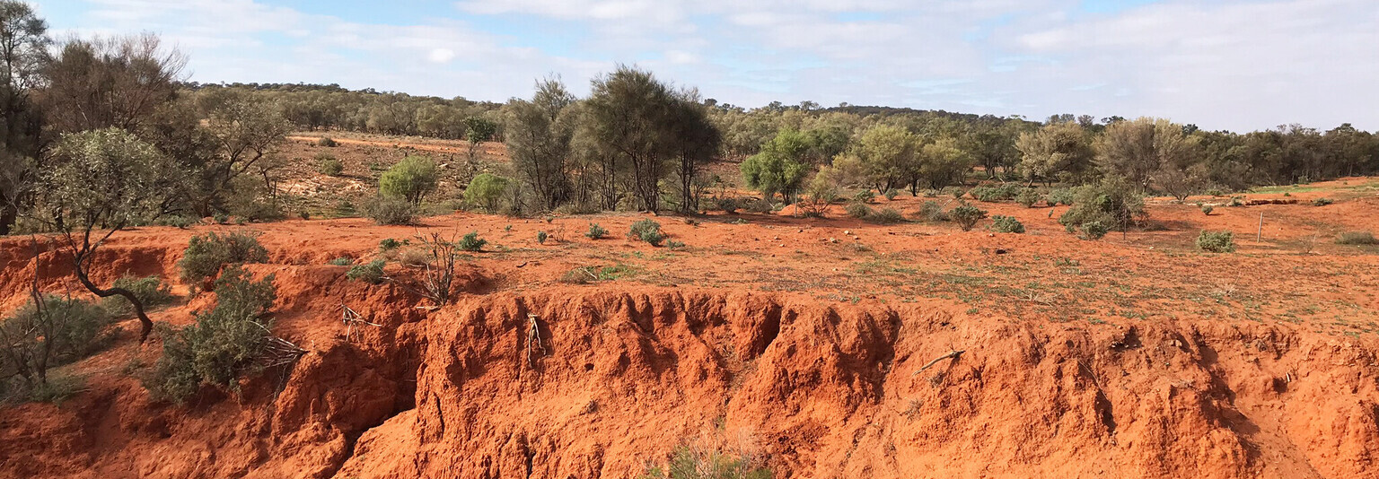 Reisebericht Australien - Outback Landschaft