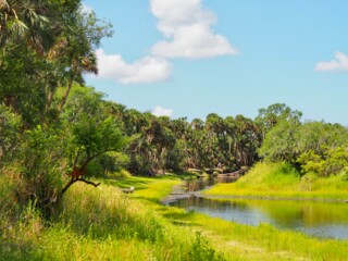 Myakka River State Park