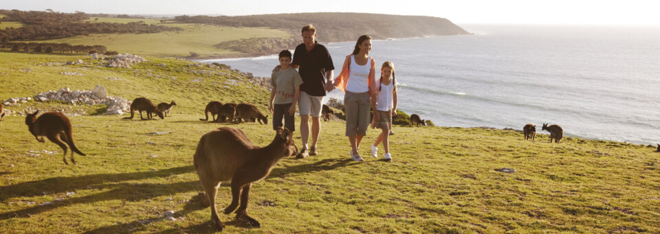 Familienspaziergang auf Kangaroo Island