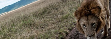 Von Tansania nach Sansibar – Weißer Sand & Wilde Natur