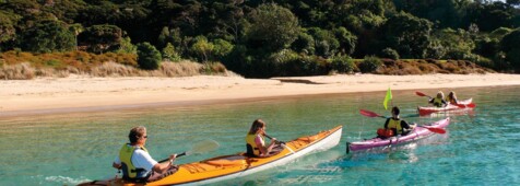 Bay of Islands erleben