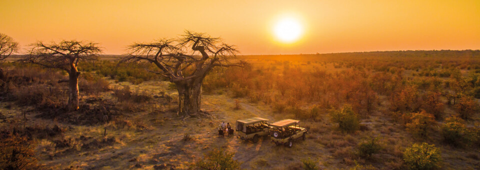 Ghoha Hills Savuti Lodge Baobab Sonnenuntergang