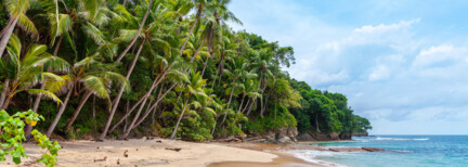 Costa Rica Kompakt – Tierwelt & Tropenparadies