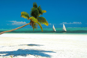 Strand und Palme Sansibar